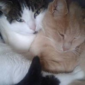 Marielle Bailly's photo