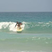 Karen Arora's photo