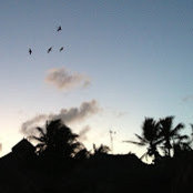 Jennifer Court's photo
