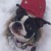 Cyndi Phillips's photo