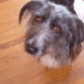 Sara Tapscott's photo