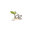 Land Design Group
