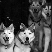 Dave Walsh's photo