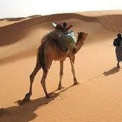 Foto de خليل صابر
