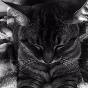 Foto von Alen Keri