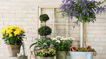 15 Garden And Landscape Supplies You Can Trust In Apopka Fl Houzz 15 Garden And Landscape Supplies You