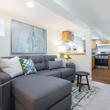 Queen Anne Duplex