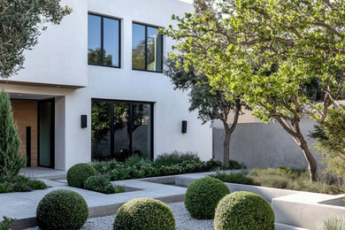 Design ideas for a modern front yard landscaping.
