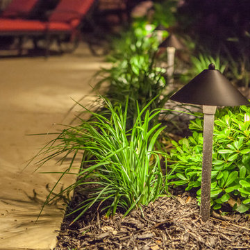 Low Voltage Up Lighting and Moon Lighting- Southlake