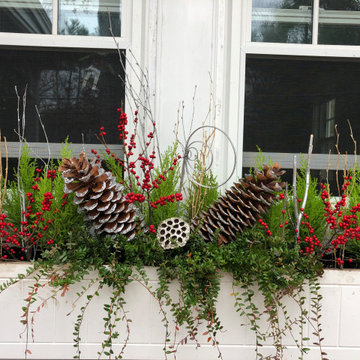 Holiday Window Boxes