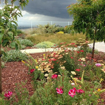 East Foothills Garden