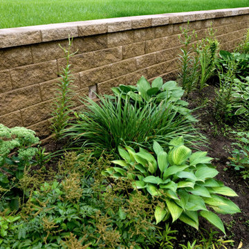 Perennial + Walls