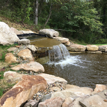 Swimming Hole