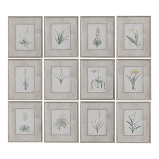 Botanical Study Leaf Berry Flower Wall Art Gold Frame Set Of 6 ~ Uttermost  33651