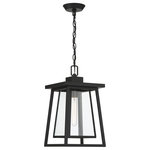 Savoy House - Denver 1-Light Outdoor Hanging Lantern, Matte Black - Boost your curb appeal and create a great first impression with the Craftsman-inspired style of the Savoy House Denver 1-light outdoor hanging lantern. Clear seedy glass and a matte black finish make Denver a great choice for lighting up today's fashionable homes. This fixture is 16.125" in height and 8" in width. It uses one standard size bulb with a max of 60 watts. Damp area rated. Comes with 120" of chain and 144" of cord.