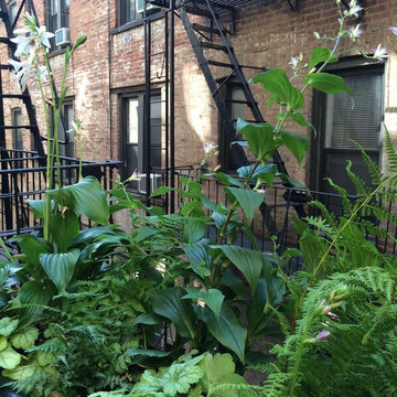 Shade Terrace - Park Slope