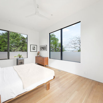 Modern Oasis
