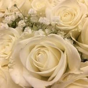 Karen Benge's photo