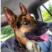 Sean Jacobson's photo