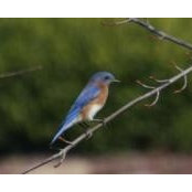 Claudia Smith's photo