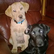 Pam Clatterbuck's photo