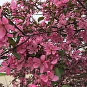Sandy Newsom's photo