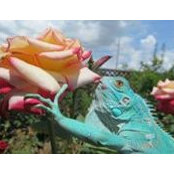 Carla Santini's photo