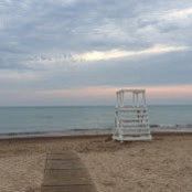 Catherine Haden's photo