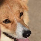 Stephanie StAmour's photo