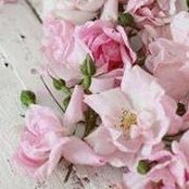 Faded Rose-Ltds billede