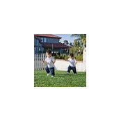 Son Bach's photo