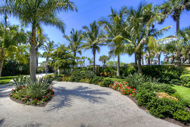 This is an example of a tropical landscaping in Tampa.