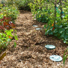 Gardening
