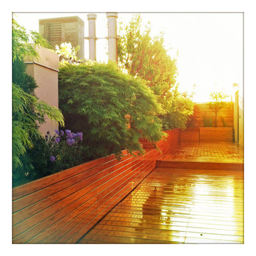 Upper West Side Roof Deck: Roof Garden, Terrace, Fence, Planter Boxes, Container