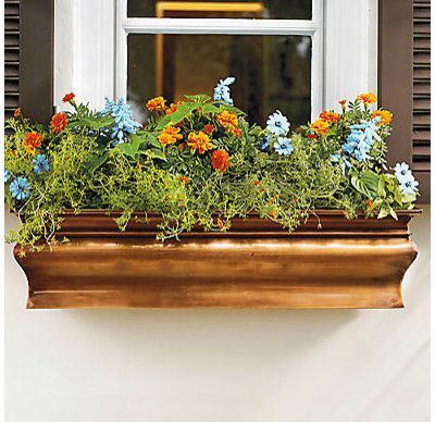 Bring Back the Window Box: Flowers and Edibles for Every Season