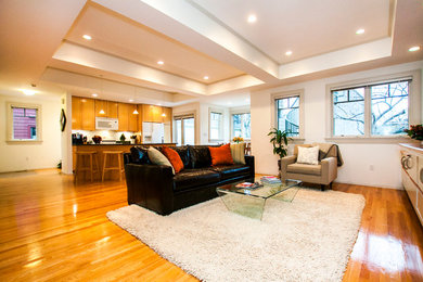 Living room - traditional living room idea in Boston