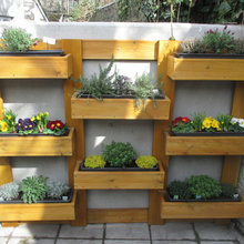 Garden Inspiration