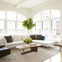 Living Room Ideas