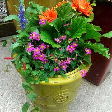 Summer Container Garden