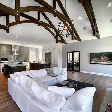 Home Media Living Rooms