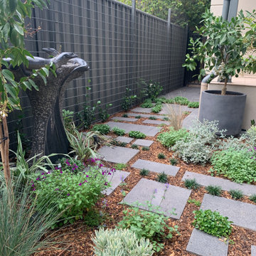 Norwood | Front Garden