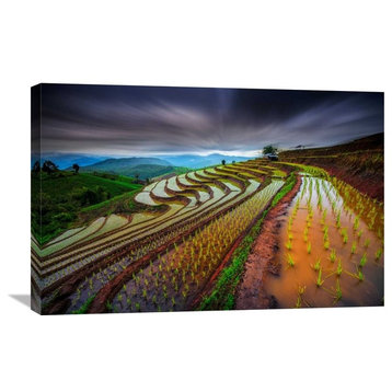 "Unseen Rice Field" Stretched Canvas Giclee by Tetra, 30"x20"