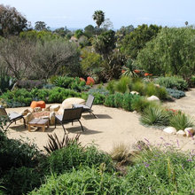 front landscape