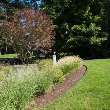 Westford Street Garden