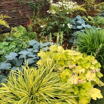 Jardin d'ombre