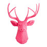 Pink With Pink Antlers