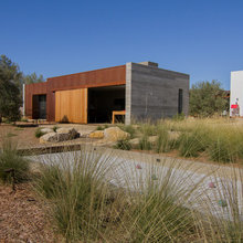 Tasting Room/ Modern Vineyard