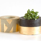 Ms Kruger Planter