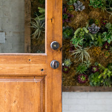 The Succulent situation