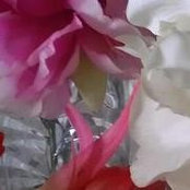 Foto von Patsy Stone